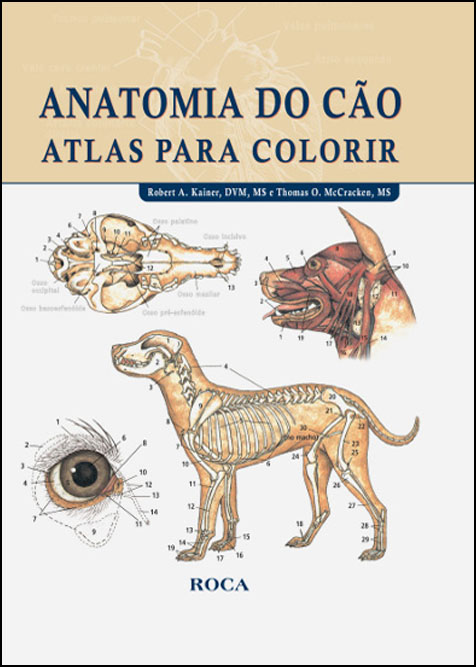 ANATOMIA DO CÃO atlas para colorir