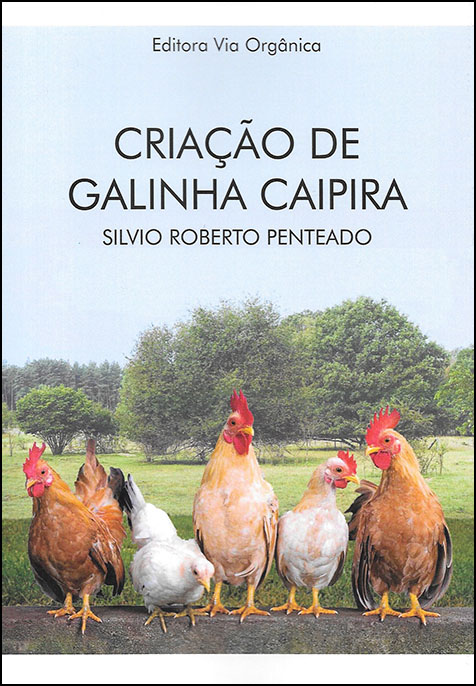 CRIAÇÃO DE GALINHA CAIPIRA